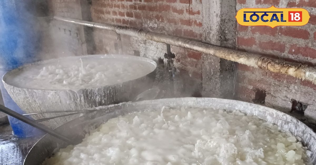 चाव से खाते हैं पेठा पर जानते हैं कैसे होता तैयार? सब्जी से बनती है यह देसी मिठाई, देख लें