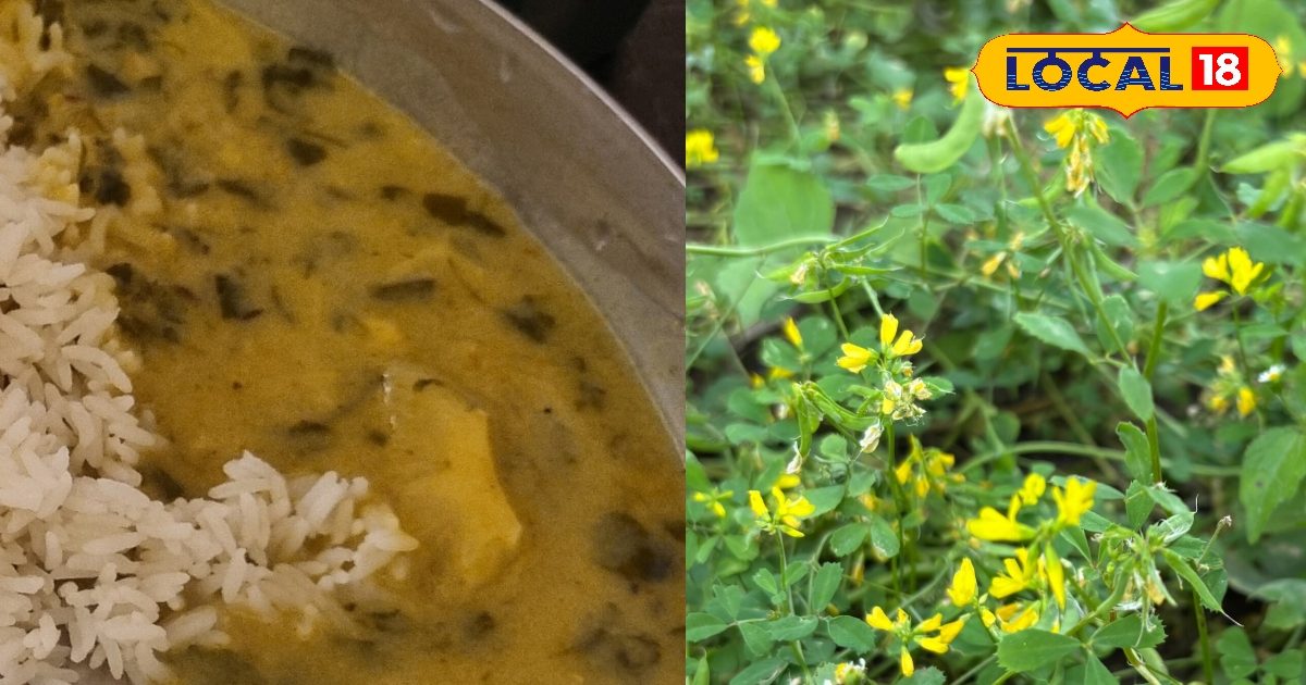 गर्मियों में शरीर को रखेगी कूल! ट्राई करें एकदम लाजवाब स्वाद वाली ये पहाड़ी झोली रेसिपी