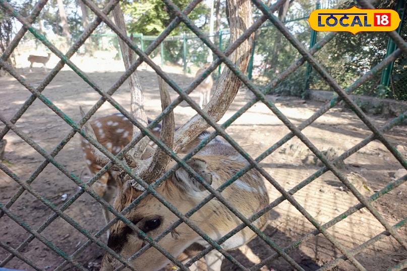 चितवन नेशनल पार्क