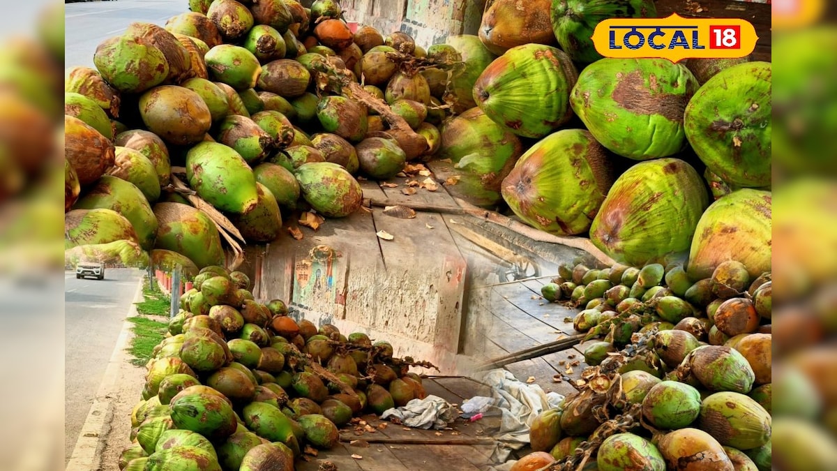 भरतपुर की भीषण गर्मी में केरल से आए नारियल पानी की जबरदस्त मांग, हर चौराहे पर बढ़ी रही डिमांड