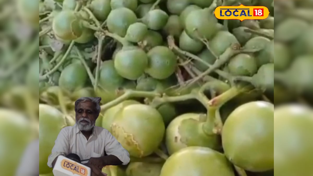 Best Summer Food: छोटा सा देसी फल, बड़े-बड़े फायदे… गर्मियों में लसौड़ा क्यों बन रहा सुपरफूड