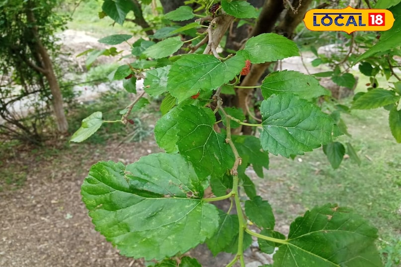 it is the part of tradition and experience 