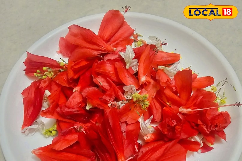 अजब गजब फूल 