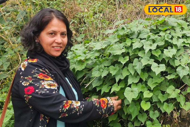 अजब गजब फूल 