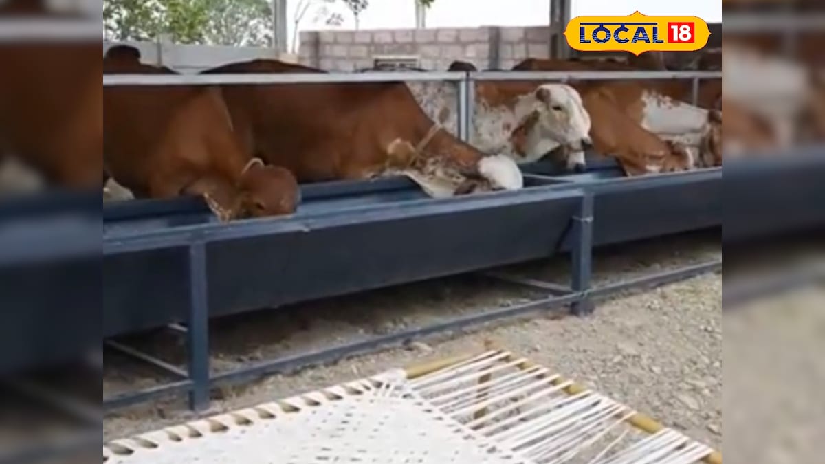 भोजपुर में युवाओं को मिलेगी 12 दिन की फ्री डेयरी ट्रेनिंग, जानें आवेदन की डिटेल