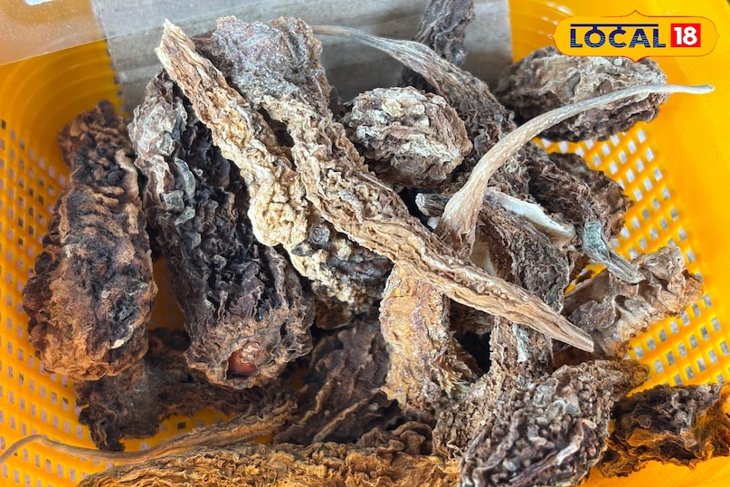 Helpful in increasing immunity