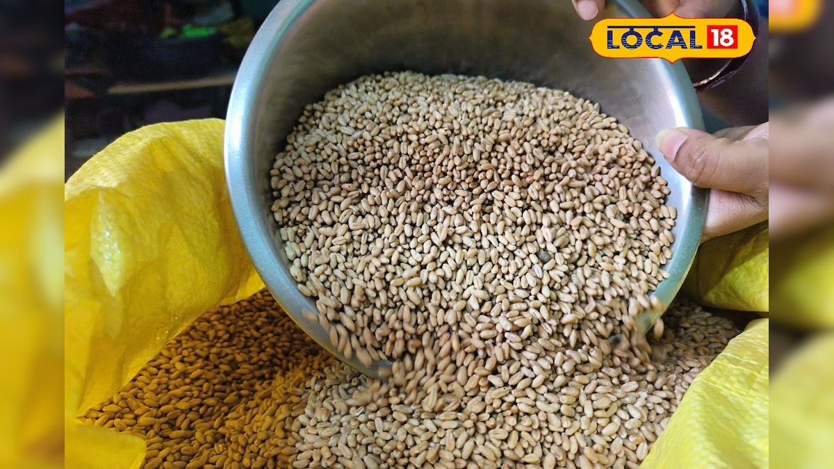 घुन-कीड़े रहेंगे कोसों दूर, इस देसी जुगाड़ से सालों तक सुरक्षित रहेगा गेहूं, करना भी आसान