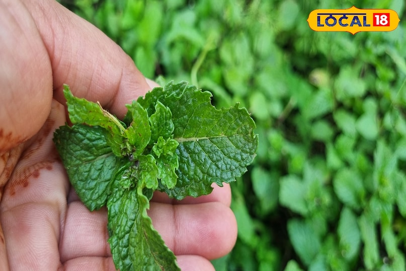 Beneficial for skin and hair