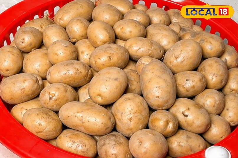 आलू को स्टोर कैसे करें, आलू को किचन में कैसे रखें, आलू को अंकुरित होने से कैसे बचाएं, आलू को ताजा कैसे रखें, लोकल 18, How to store potatoes, how to store potatoes in the kitchen, how to prevent potatoes from sprouting, how to keep potatoes fresh, Local 18