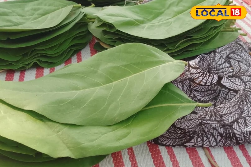 तेंदू के पत्ते