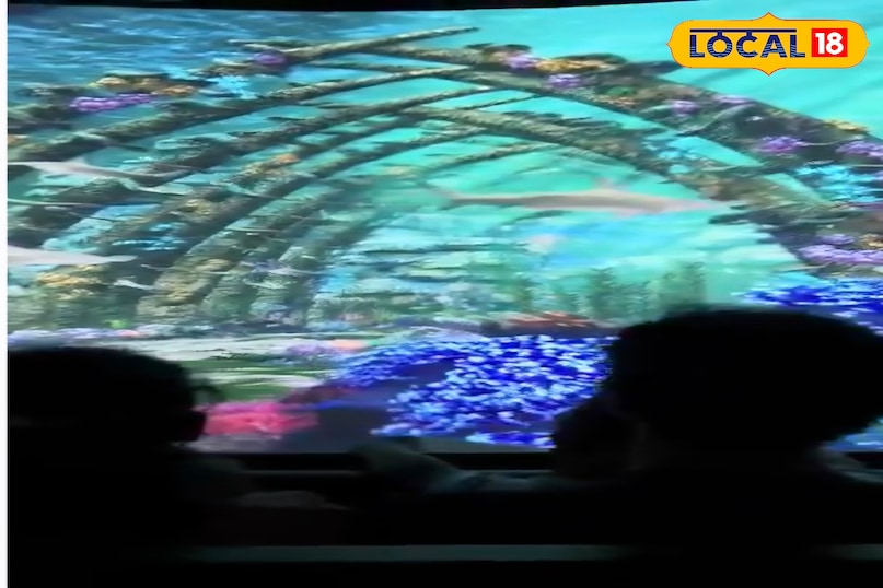 पार्क में दर्शकों के लिए एक उन्नत 9D मूवी थिएटर स्थापित किया गया है। इसमें मोशन सीट, पानी की बौछारें, हवा के प्रभाव और आकर्षक दृश्य सुविधाएं शामिल हैं जो फिल्म को वास्तविक बनाती हैं। इसके साथ ही, यहाँ एक 360-डिग्री इनडोर थिएटर भी है, जो जंगल और वन्यजीवों के दृश्यों को व्यापक रूप से प्रदर्शित करता है जिससे दर्शकों को एक गहरा और लुभावना अनुभव प्राप्त होता है। 