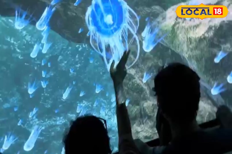 VR ज़ोन में रोमांच की कोई कमी नहीं है। यहाँ विजिटर पानी के नीचे एक्वेरियम की सैर, मछली पकड़ने के खेल और प्रकृति की सैर का आनंद ले सकते हैं। साहसिक प्रेमी यहाँ वीआर कयाकिंग का प्रशिक्षण भी ले सकते हैं। इतना ही नहीं यह तकनीक आपको बर्फीले अंटार्कटिका से लेकर अंतरिक्ष की गहराइयों तक की सैर करा सकती है।