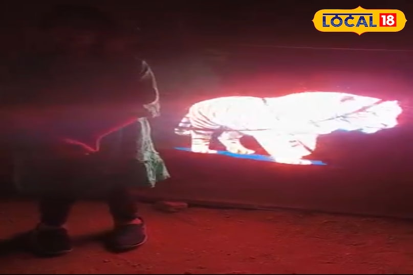 इस पार्क का मुख्य आकर्षण AI वर्चुअल वाइल्डलाइफ सफारी राइड है। यहाँ आगंतुक वीआर हेडसेट पहनकर डिजिटल जंगल में प्रवेश करते हैं, जहाँ वे जंगली जानवरों को बिल्कुल करीब से देख सकते हैं। यह तकनीक ऐसा अनुभव कराती है मानो आप वास्तव में उन जंगलों के बीच चल रहे हों। यह अनुभव तकनीक और प्रकृति का एक अविश्वसनीय मेल है।