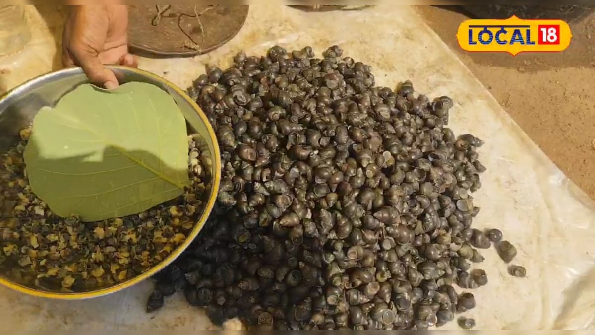 प्रोटीन-आयरन से लबालब, स्वाद में मटन को ढकेले पीछे, तालाब से चुनते हैं ग्रामीण, कीमत इतनी