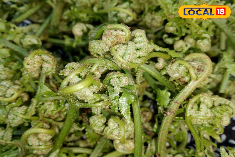 where it will be found 