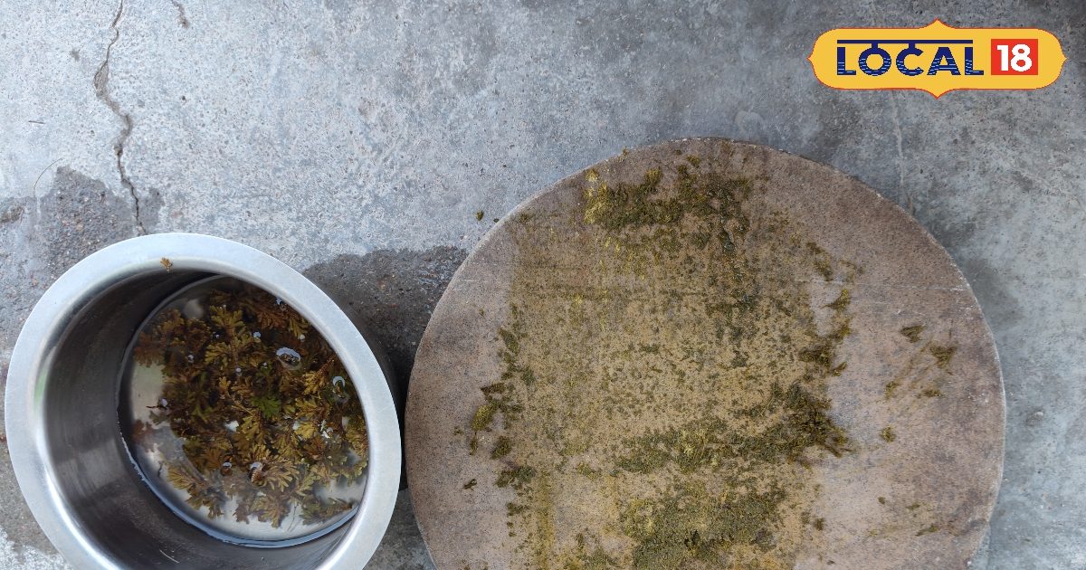 बाजार के ड्रिंक को कहें बाय-बाय, अपनाएं छतरपुर का देसी एनर्जी बूस्टर, गर्मी में बना वरदान