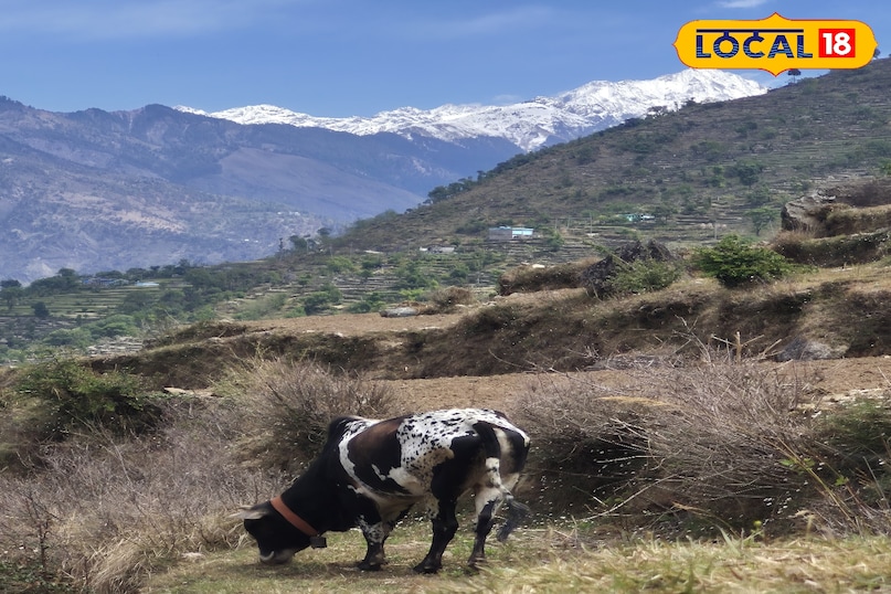balanced weather in pithoragarh 