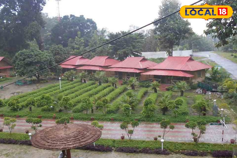 बिहार का इकलौता टाइगर रिज़र्व