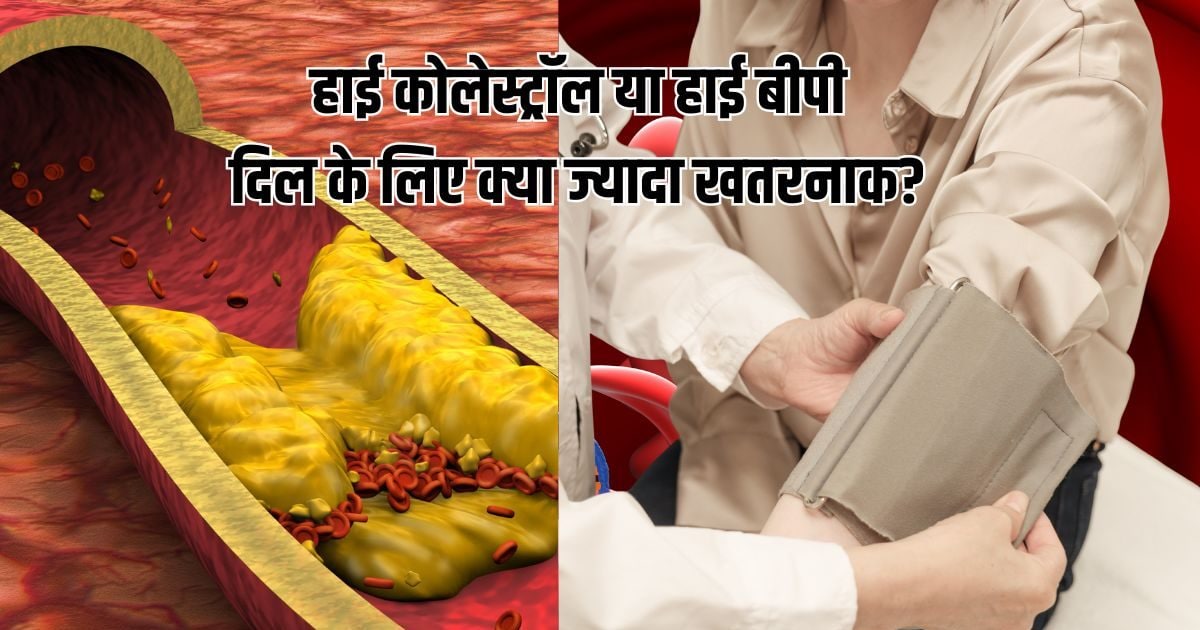 हाई कोलेस्ट्रॉल और हाई ब्लड प्रेशर: दिल के लिए कौन ज्यादा खतरनाक?