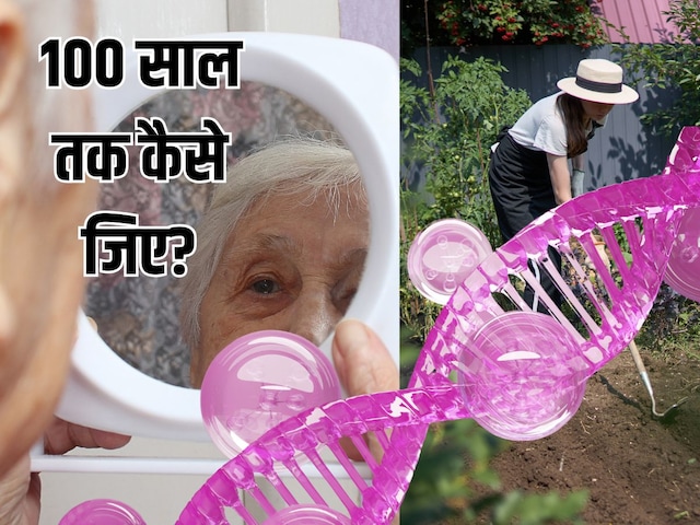 100 साल तक जिंदा रहने का नेचुरल तरीका, अपनाएं ये 6 एंटी-एजिंग हॉबीज