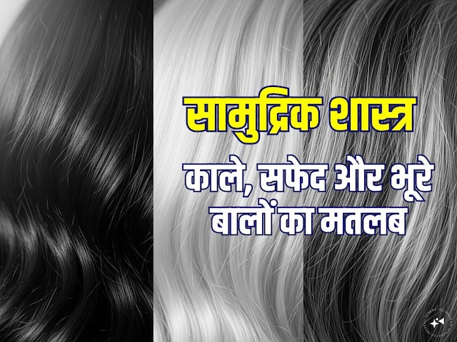 आपके बाल काले हैं, भूरे या फिर सफेद? सामुद्रिक शास्त्र से जानें इनके मतलब