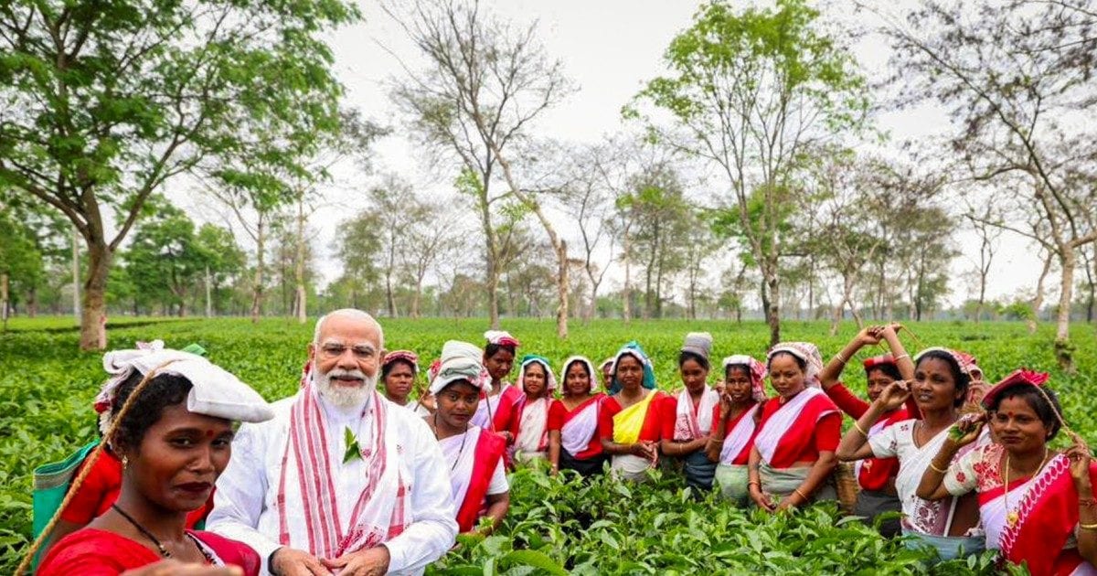 ‘मैं भी चाय वाला हूं, आपकी मेहनत मेरे गांव तक पहुंची’, असम के चाय बागान में महिलाओं के साथ पीएम मोदी की सेल्फी