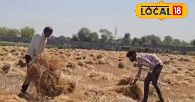 फसल खराब होने से किसान परेशान हैं