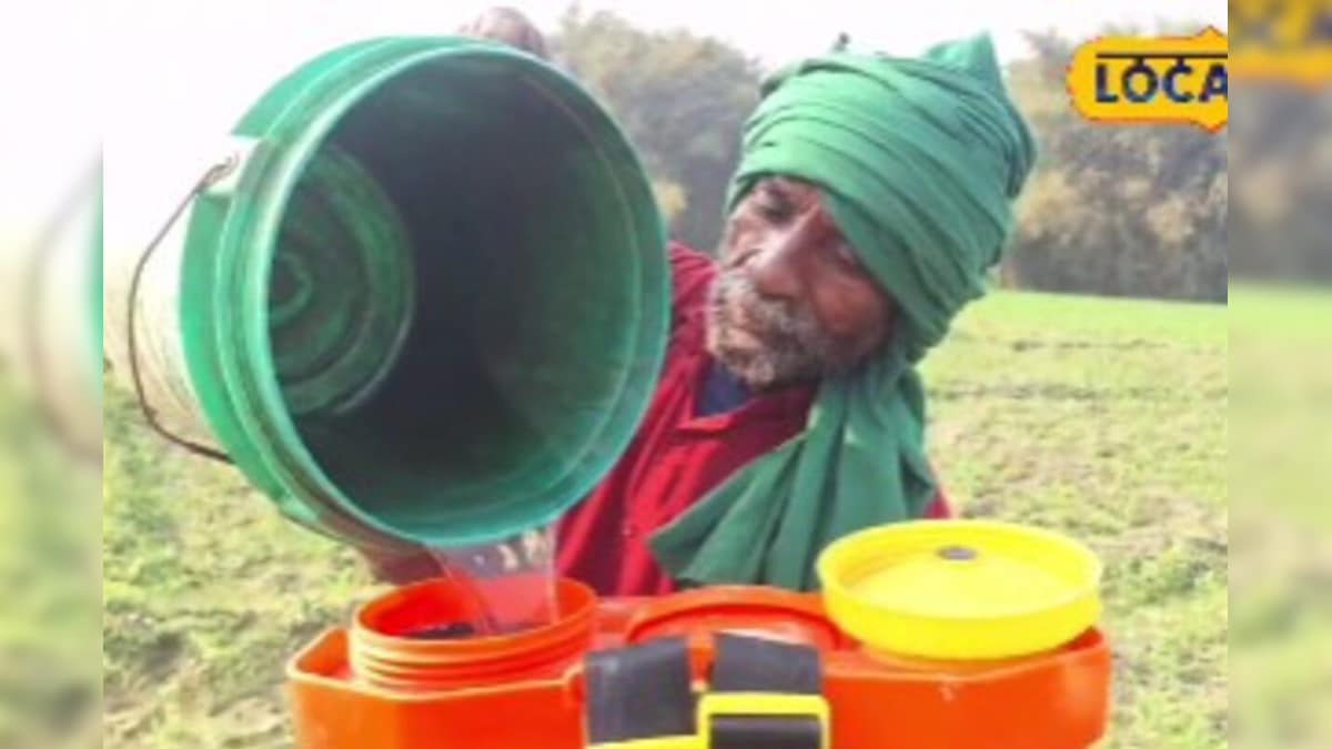 Video: पंजाब में मजदूर, बिहार में बना स्मार्ट किसान! 3500 की मशीन से घर बैठे शुरू की बंपर कमाई