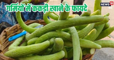 ककड़ी के फायदे.