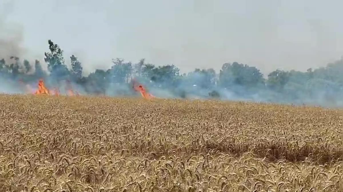 हमारी रोटी छिन गई, पुलिस भी सुन नहीं रही… खेत जले तो किसानों का छलका दर्द