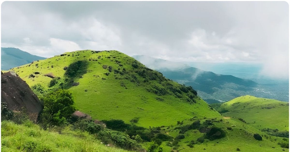 रास्ता भटक गई हूं मदद करो, ताडियांडामोल ट्रेकिंग पर गई महिला का आखिरी कॉल, कोडागु के घने जंगल में उतरे 90 लोग