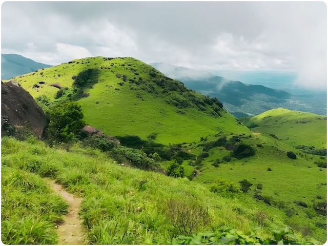 रास्ता भटक गई हूं मदद करो, ताडियांडामोल ट्रैकिंग पर गई महिला का आखिरी कॉल
