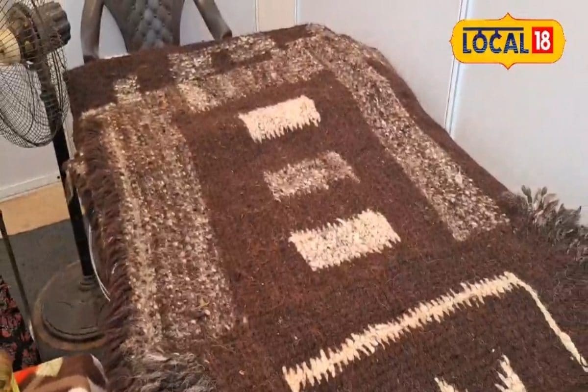 भेड़ की ऊन से बनते हैं पहचान के अनोखे नमूने और परंपरा, मशीन नहीं.. सुनीता दिखा रही हाथों के हुनर की ताकत