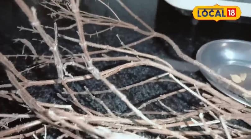 हेल्थ हेल्थ