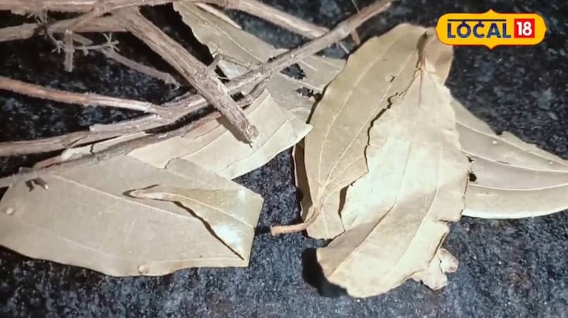 हेल्थ हेल्थ