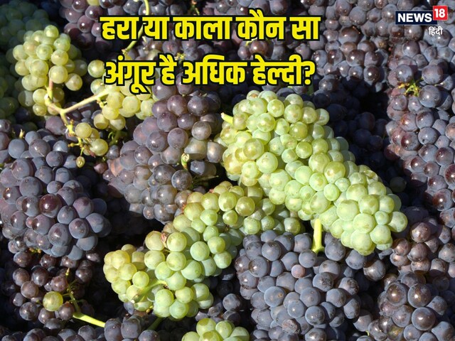 हरा या काला अंगूर, कौन सा है ज्यादा फायदेमंद? आयुर्वेद से जानें दोनों के लाभ