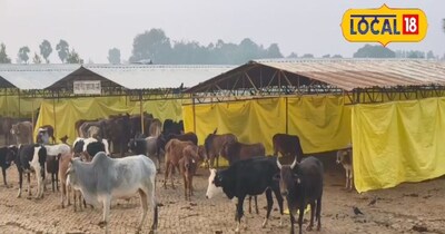 पशुपालन