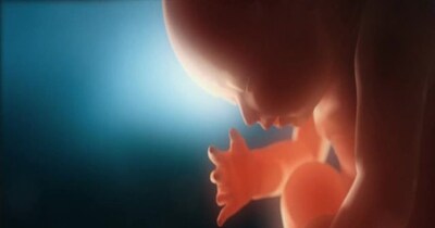 गर्भ में कुछ इस तरह से विकसित होता है बच्चा (इमेज- फाइल फोटो)