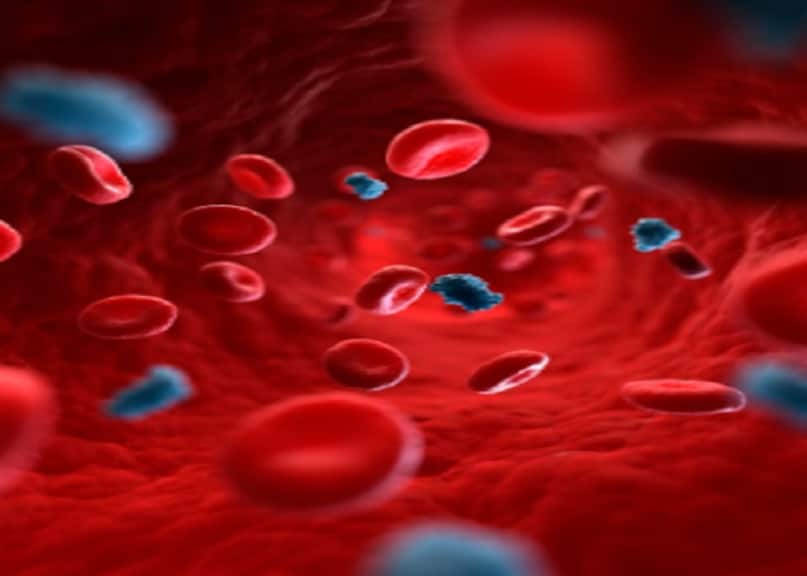 वास्तव में खून की कोशिकाओं में उसकी सतह पर एक प्रोटीन की परत होती है. जिसके खून की कोशिकाओं में यह प्रोटीन मौजूद होता है, उसका खून Rh पॉजिटिव होता है जिसके खून में यह प्रोटीन नहीं है, उसे निगेटिव कहा जाता है. लेकिन गोल्डन ब्लड ग्रुप का खून में Rh फेक्टर होता ही नहीं है. यानी यह न तो पॉजिटिव होता है और न ही निगेटिव होता है. यह जीरो होता है. इसलिए इसे Rh 0 ब्लड ग्रुप कहा जाता है.