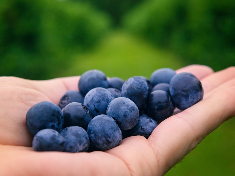 Brain Health, Memory Boost, Superfoods, Cognitive Function, Omega-3, Mental Clarity, मस्तिष्क स्वास्थ्य, याददाश्त बढ़ाने वाले आहार, दिमागी शक्ति, मानसिक एकाग्रता