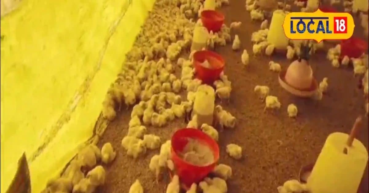 हाईस्कूल फेल इस युवक ने किया ऐसा बिजनेस, 40 दिन में हो रही 1 लाख की कमाई