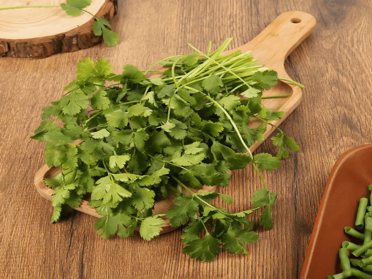 बाप रे बाप! ऑस्ट्रेलिया में धनिया की चटनी खाना बेहद महंगा, खाने से पहले सौ बार सोचते हैं लोग