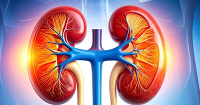 शुगर लेवल अनकंट्रोल हो जाए, तो इससे किडनी फेलियर की नौबत आ सकती है.