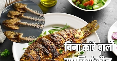 Bone-Free Delights: 5 Fish Varieties for Fearless Feasting!