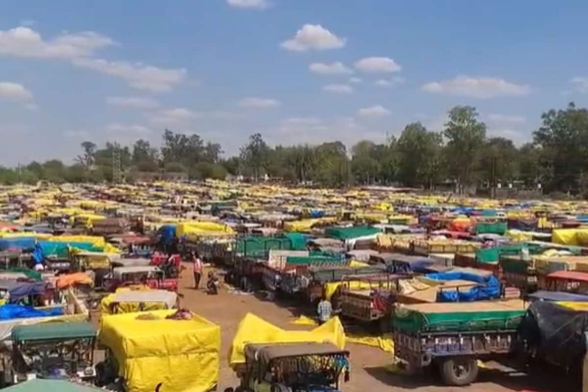 गुना मंडी में ट्रैक्टर-ट्रॉलियों की कतार, खूब हुआ हंगामा; जानें क्या बोले खाद्य मंत्री?