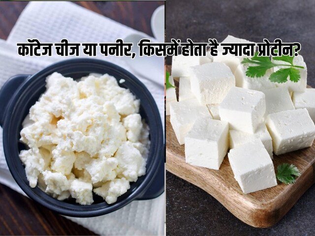 कॉटेज चीज और पनीर में फर्क है? किसमें ज्यादा प्रोटीन, क्या है ज्यादा हेल्दी