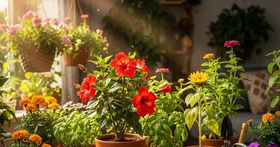 गर्मी के मौसम में आसानी से घर पर लगाने वाले 10 पौधे