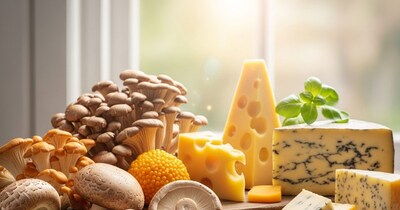 व्हिटॅमिन-D वाढवा: शाकाहारींसाठी मशरूम आणि चीज सर्वोत्तम पर्याय