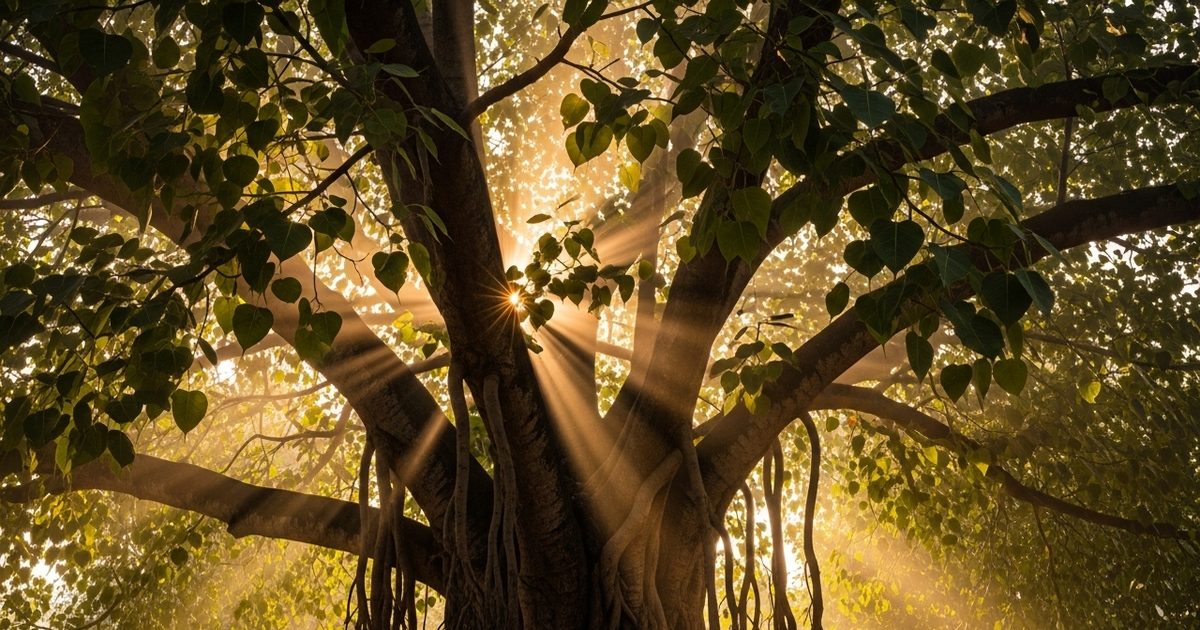 शनिवार को पीपल के नीचे ये छोटा सा उपाय, बदल सकता है आपकी तकदीर और मिटा सकता है दुख शनिवार को पीपल के नीचे ये छोटा सा उपाय, बदल सकता है आपकी तकदीर और मिटा सकता है दुख