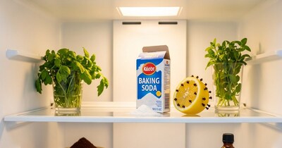 फ्रिज की बदबू को जड़ से खत्म करने का आसान तरीका